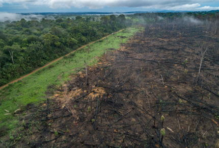 Afskovning i Amazonas, december 2020 - Foto af: Andre Dib / WWF-Brazil