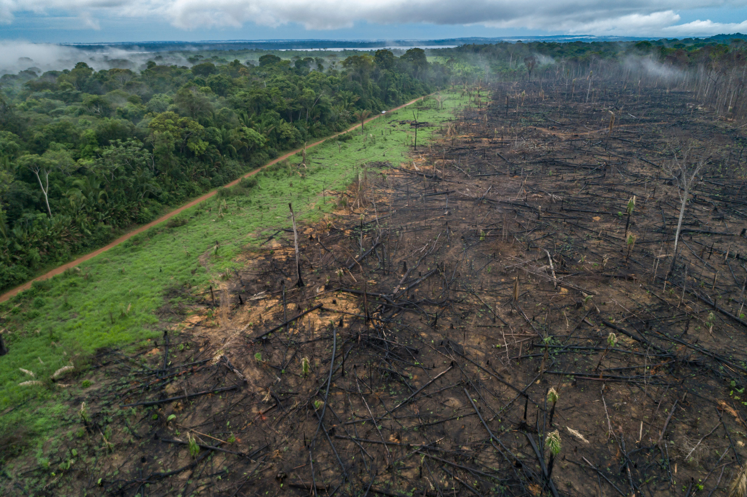 Afskovning i Amazonas, december 2020 - Foto af: Andre Dib / WWF-Brazil