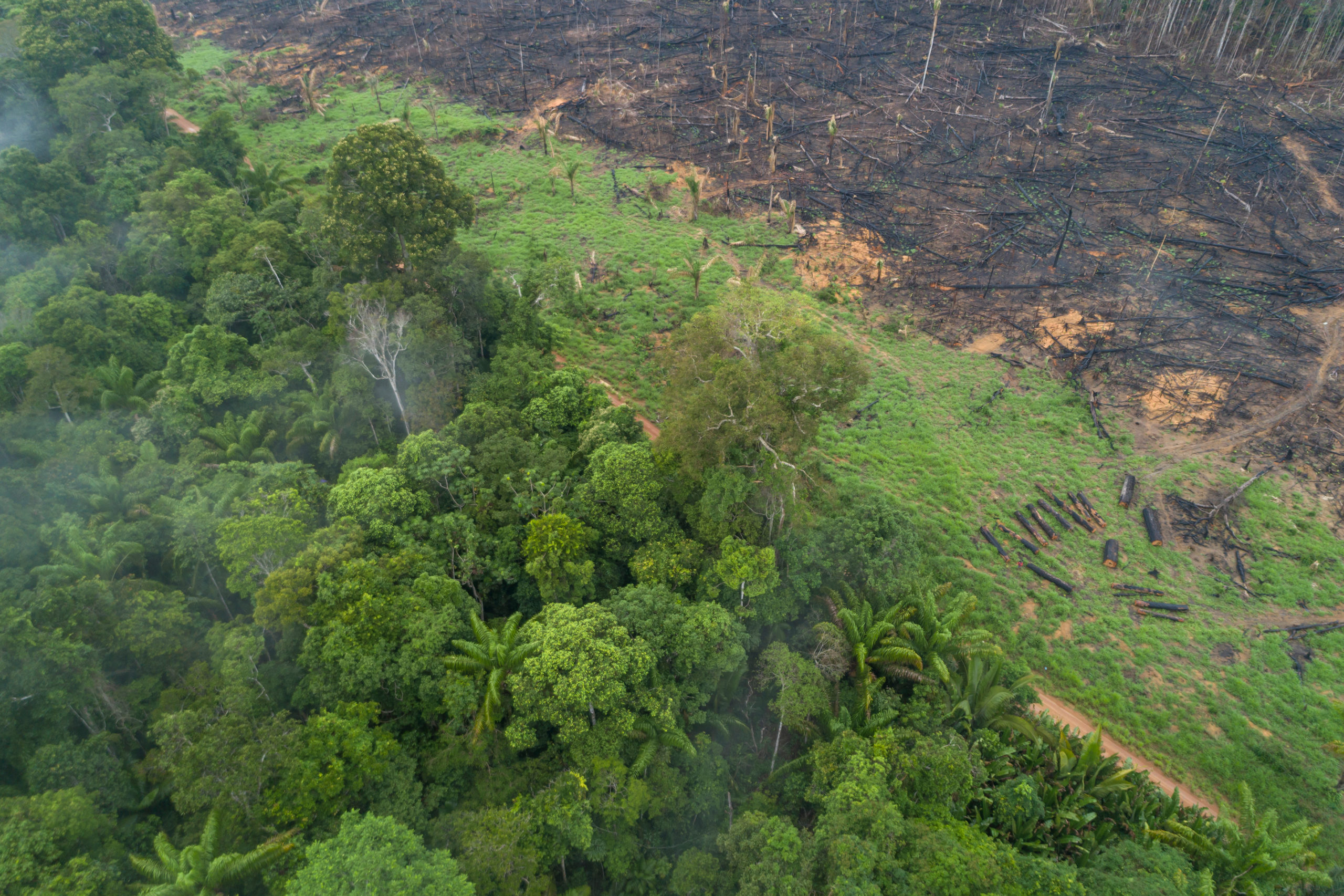 Afskovning i Amazonas december 2020 - Foto af; Andre Dib_WWF-Brazil