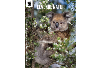 Levende Natur, magasin. Juni 2024. WWF Verdensnaturfonden