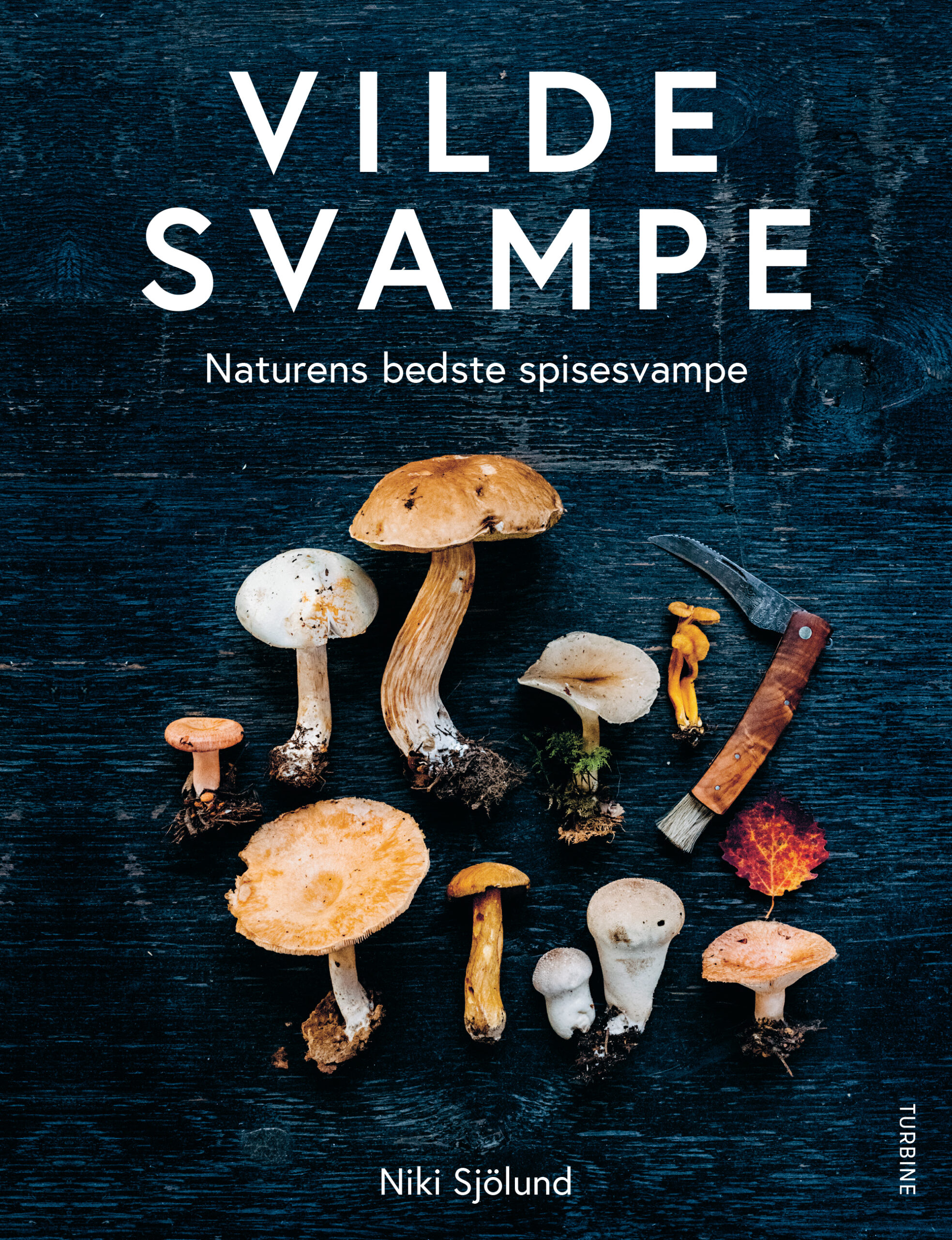 Bog, vilde svampe