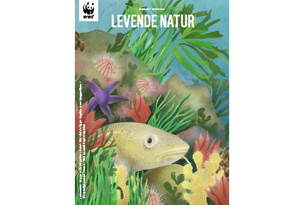 Levende natur, hav, fredet ha, torsk, marine naturnationalparker